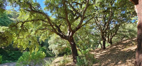 Terreno en Lugar Celima