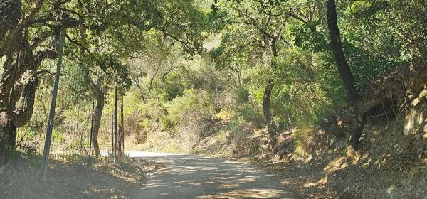 Terreno en Lugar Celima