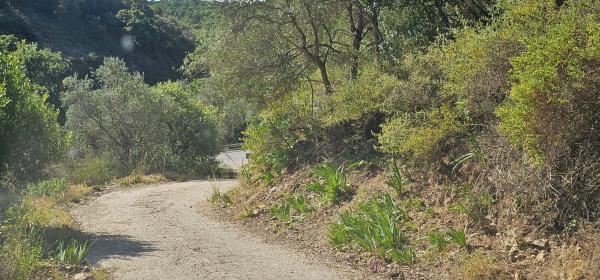 Terreno en Lugar Celima