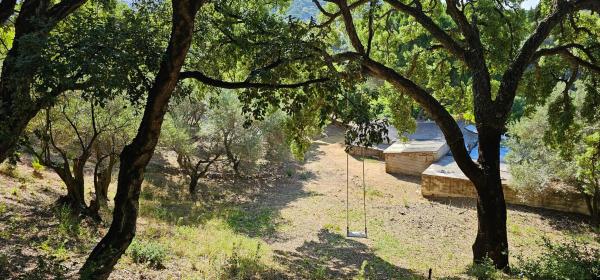 Terreno en Lugar Celima