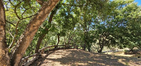 Terreno en Lugar Celima