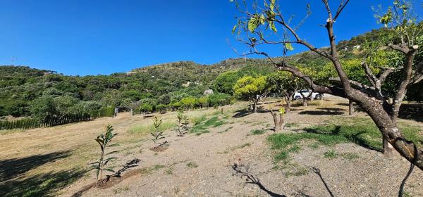 Terreno en Lugar Celima