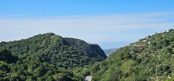 Terreno en Lugar Celima