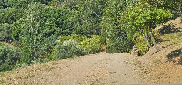 Terreno en Lugar Celima