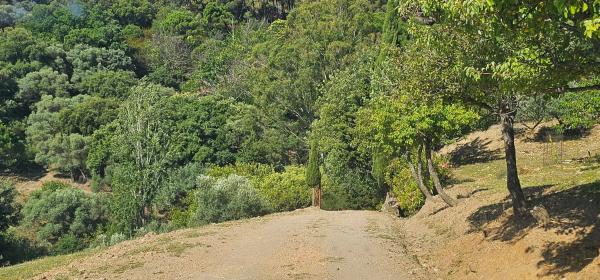Terreno en Lugar Celima