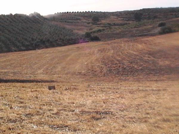 Terreno en Río grande s/n