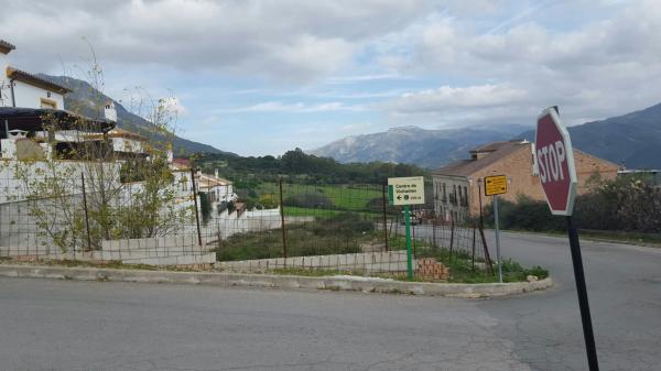 Terreno en avenida jacarandas s/n