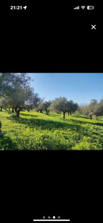 Terreno en Lugar Partido Pereila Baja, 15