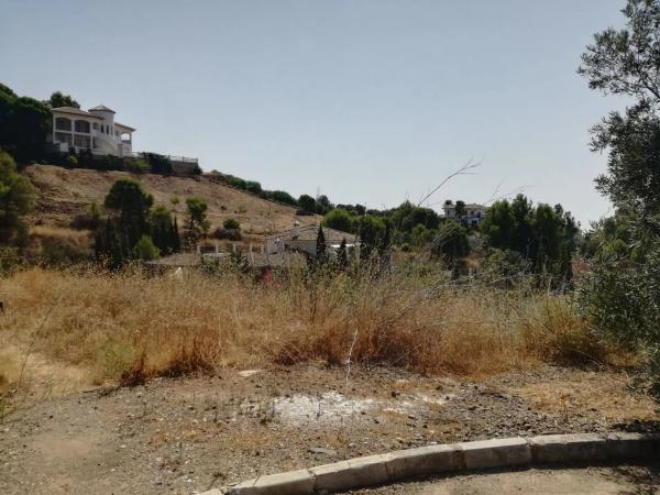 Terreno en calle Adelfas, 206