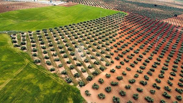 Terreno en Campillos