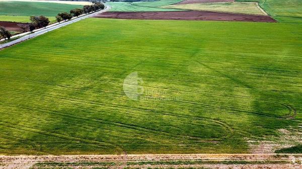 Terreno en Campillos