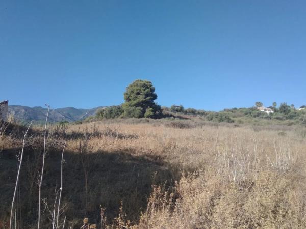 Terreno en camino las Barrancas s/n