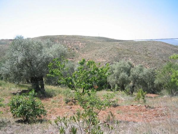 Terreno en calle San Cristóbal s/n sn