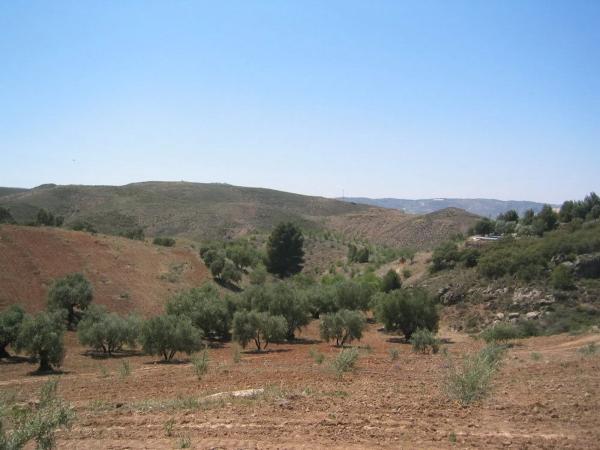 Terreno en calle San Cristóbal s/n sn