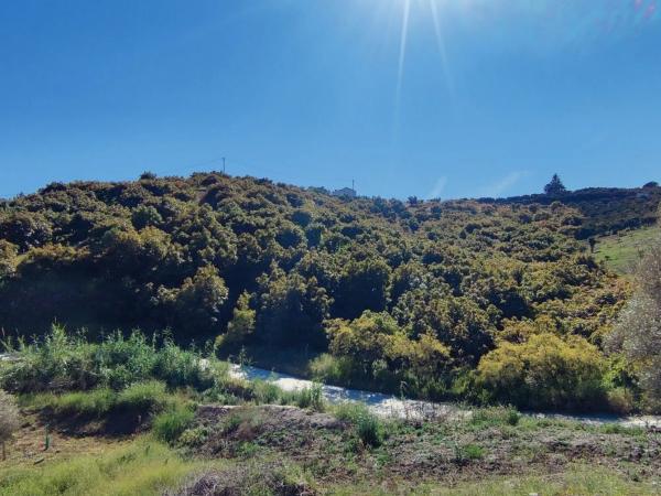 Terreno en Frigiliana