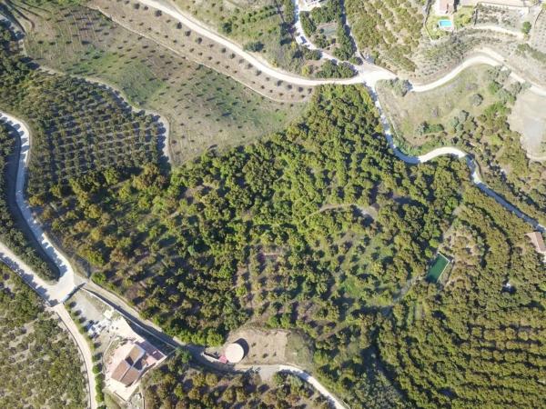 Terreno en Frigiliana