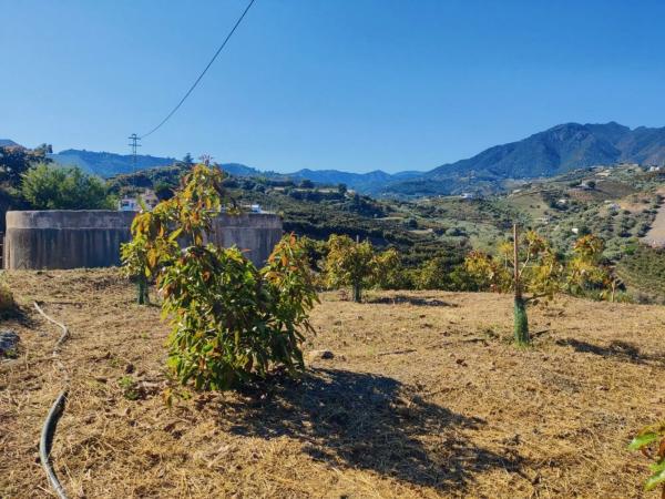 Terreno en Frigiliana