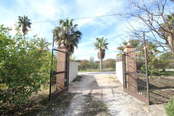 Terreno en calle Palmito