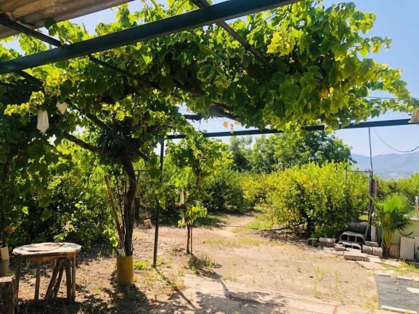 Terreno en calle Palmito