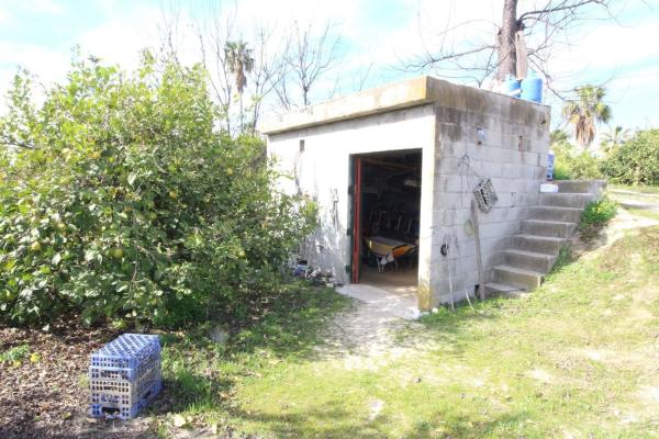 Terreno en calle Palmito