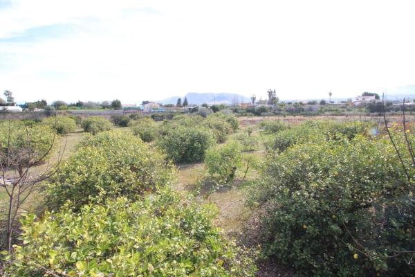 Terreno en calle Palmito