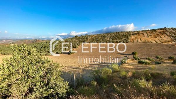 Terreno en Bobadilla - Bobadilla Estación - La Joya