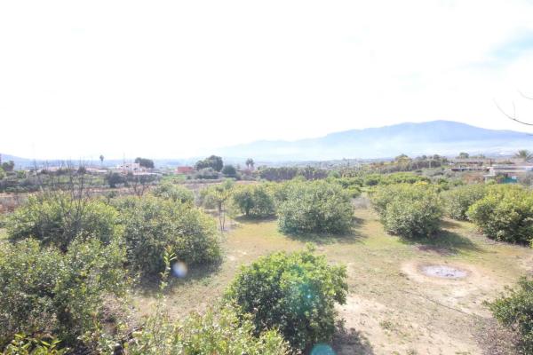 Terreno en calle Palmito