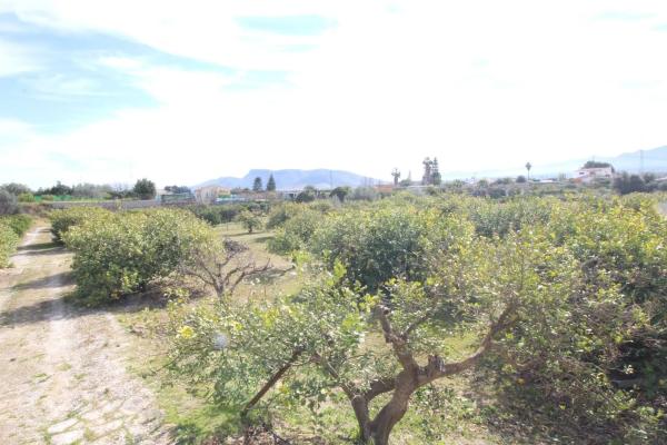 Terreno en calle Palmito
