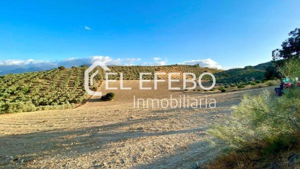 Terreno en Bobadilla - Bobadilla Estación - La Joya