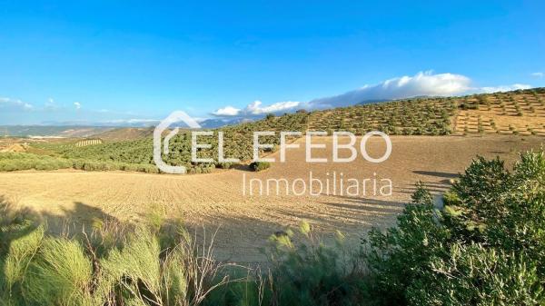 Terreno en Bobadilla - Bobadilla Estación - La Joya