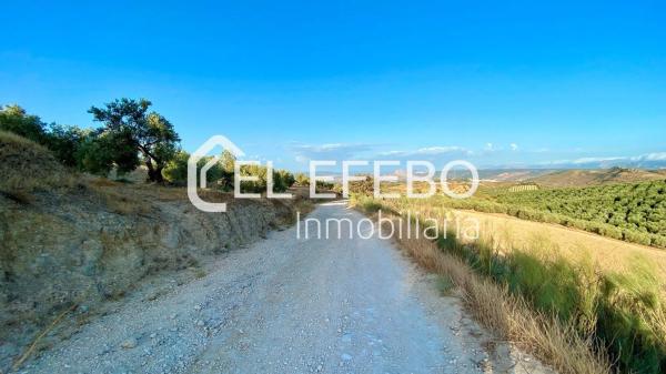 Terreno en Bobadilla - Bobadilla Estación - La Joya