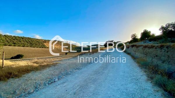 Terreno en Bobadilla - Bobadilla Estación - La Joya