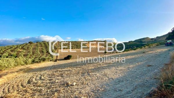 Terreno en Bobadilla - Bobadilla Estación - La Joya