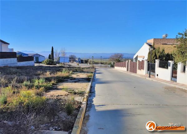 Terreno en calle Los Naranjos, 2