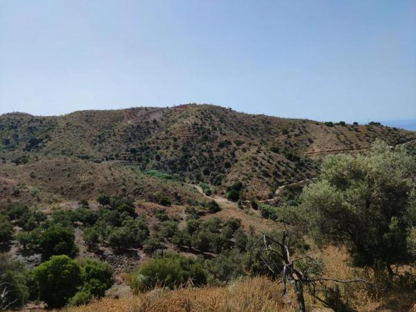 Terreno en carretera de Chilches