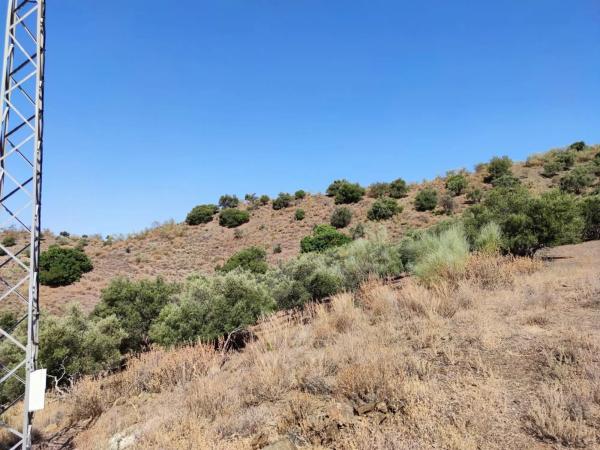 Terreno en carretera de Chilches
