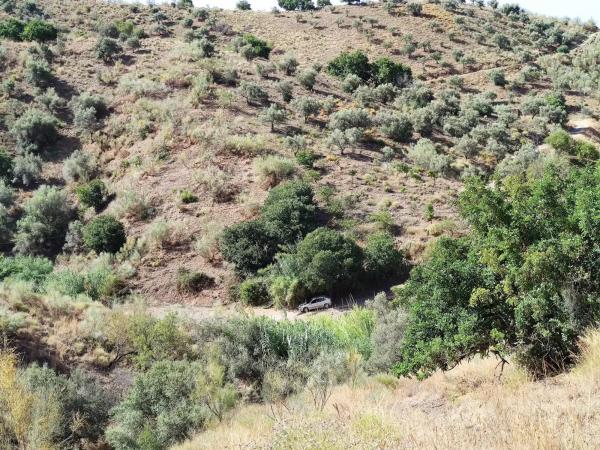 Terreno en carretera de Chilches