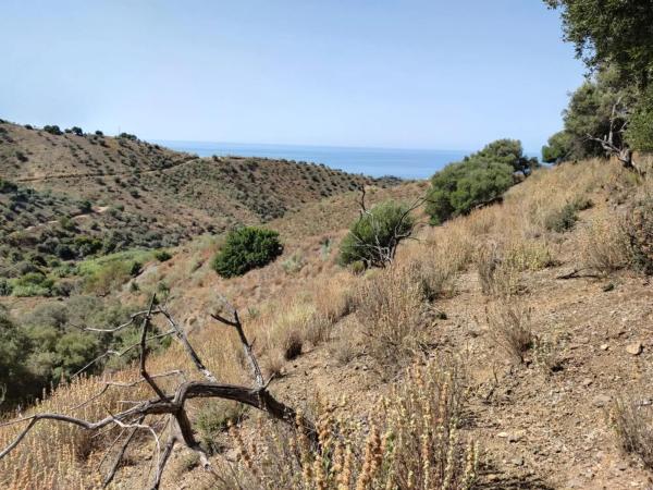 Terreno en carretera de Chilches