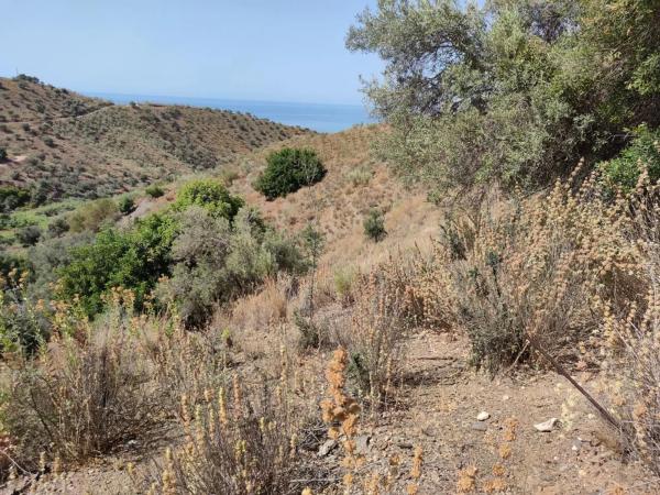 Terreno en carretera de Chilches