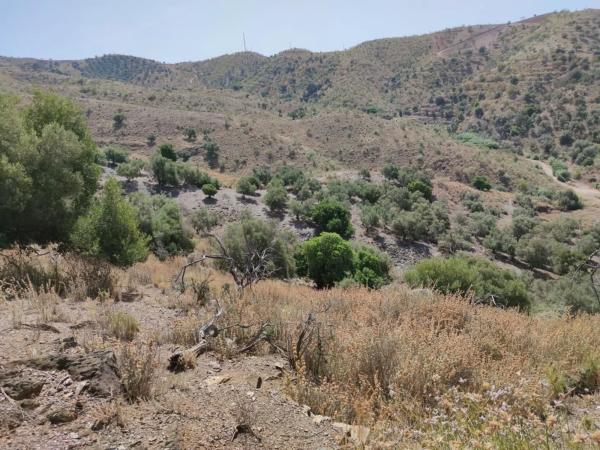 Terreno en carretera de Chilches