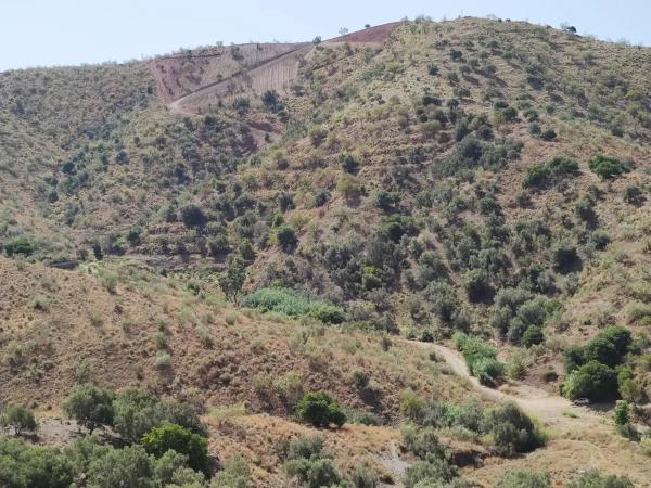 Terreno en carretera de Chilches