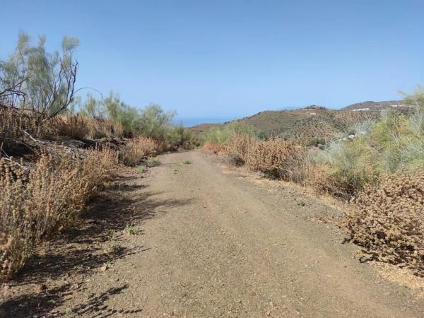 Terreno en carretera de Chilches
