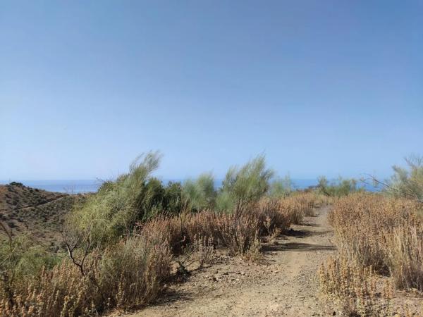 Terreno en carretera de Chilches
