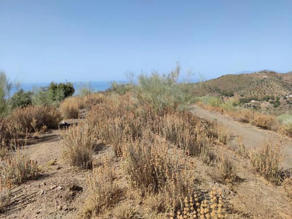 Terreno en carretera de Chilches