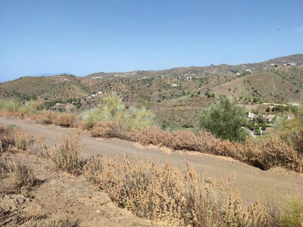 Terreno en carretera de Chilches