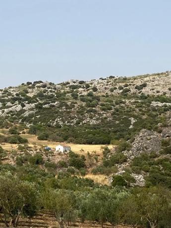 Terreno en Ma-8403, km 7