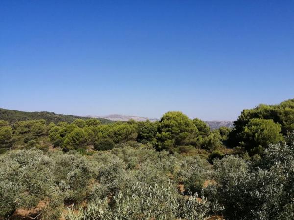 Terreno en carretera A-366 s/n