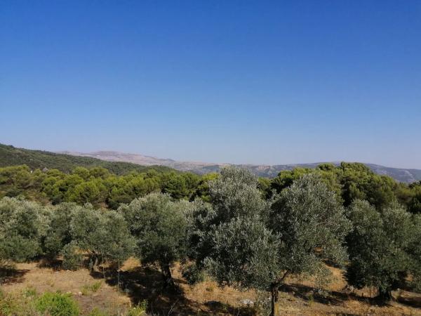 Terreno en carretera A-366 s/n