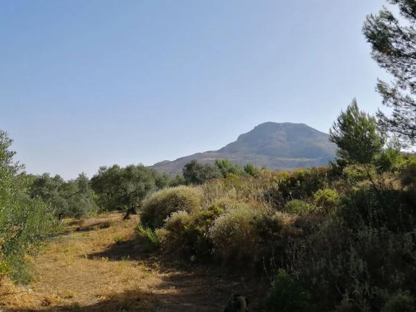 Terreno en carretera A-366 s/n