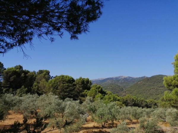 Terreno en carretera A-366 s/n